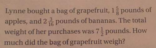 Lynne bought a bag of grapefruit 1 3 pounds of apples and 2 pounds of bananas. the total weight of h