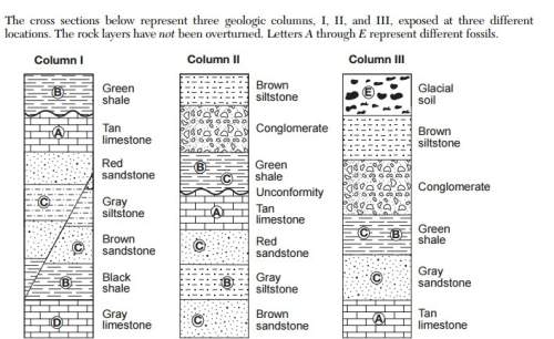 The cross sections below represent three geologic columns, i, ii, and iii, exposed at three differen