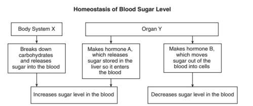 "if body system x temporarily stops releasing sugar into the blood, a likely response of the body wo
