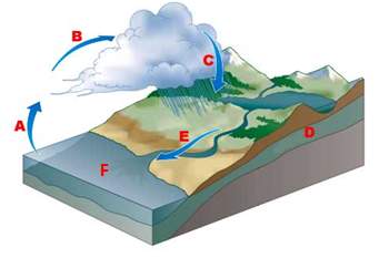 Me! asap  in the diagram below of the water cycle, what does letter c show?