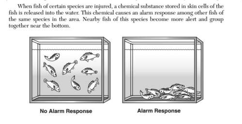 Explain why the chemical released from the injured fish may not cause an alarm response in other fis