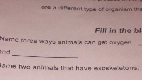Need answering.name 3 ways animal can get oxygen.