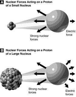Study figure 10-1. the strong nuclear force felt by a single proton in a large nucleus a. is m