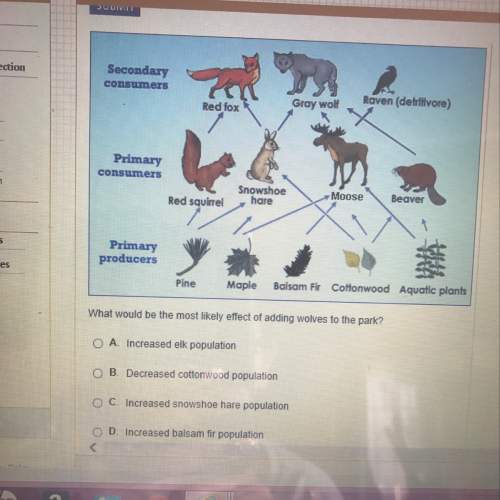 The yellowstone national park food web is shown below