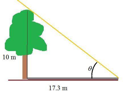 A tree 10 meters high casts a 17.3 meter shadow.

Find the angle of elevation of the sun.
Round your