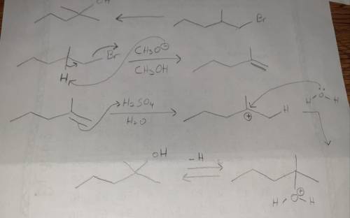 Design a Synthesis of 2-methyl-2-pentanol from 1-bromo-2-methylpentane Part 1: Choose the best optio
