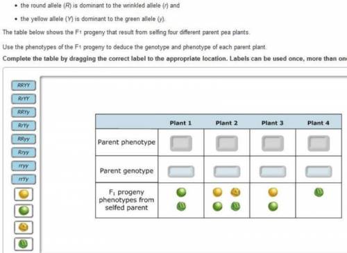 Use the phenotypes of the f1 progeny to deduce the genotype and phenotype of each parent plant. comp