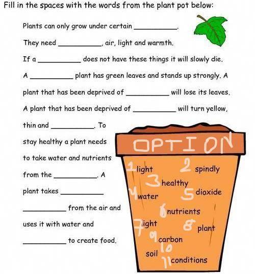 Hug

Science7. Fill in the blanks with the word fromthe plant pot belowPlants can only growunder cer