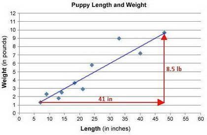 3. Maria is a veterinarian. She wants to know how the weight of a puppy is related to its length. To