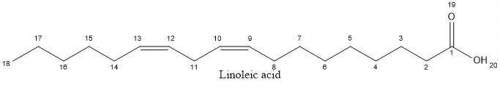 Modify the given fatty acid so that it represents the 18‑carbon fatty acid designated 18:2(Δ9,12). D