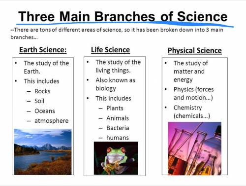 The three main areas of study in science are