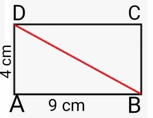Find the length of a diagonal of a rectangle of length 9 cm and width 4 cm