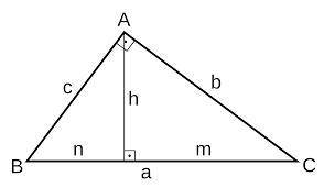 Al aplicar el teorema de Pitágoras en alguno de los triángulos que aparecen en la figura, solo un pl