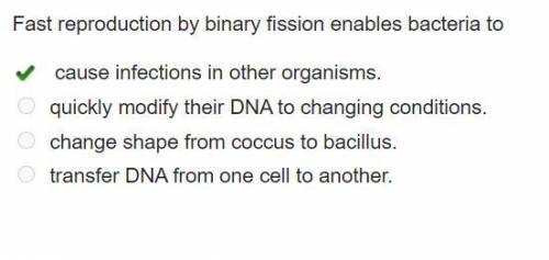 Fast reproduction by binary fission enables bacteria to

cause infections in other organisms.
quickl