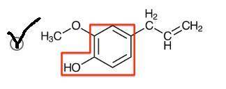 Eugenol is a molecule that contains the phenolic functional group. Which option properly identifies