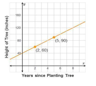 The graph shows the growth of a tree with

representing the number of years since it was allanted
an