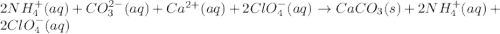 2NH_4^+(aq)+CO_3^{2-}(aq)+Ca^{2+}(aq)+2ClO_4^{-}(aq)\rightarrow CaCO_3(s)+2NH_4^{+}(aq)+2ClO_4^-(aq)