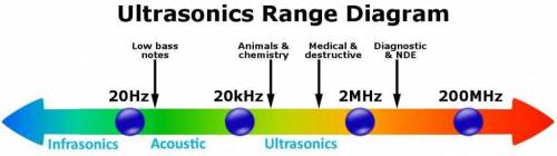 Differentiate between ultrasonic sounds and infrasonic sounds.