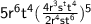 \sf 5r^6t^4 ( \frac{4r^3s^tt^4}{2r^4st^6} ) ^5
