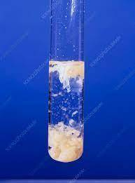 which of the following is an example of precipitate a. liquid evaporating into gas b. a solid form f