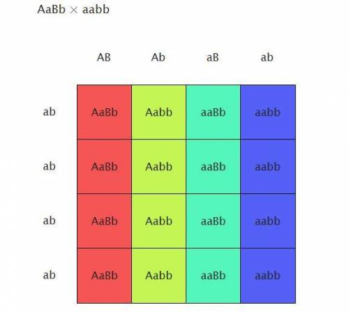 You perform a test cross of the dihybrid AaBb and score the phenotypes of 1000 progeny. Assuming ind