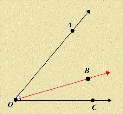 How are the properties of segments and angles used to determine their measures