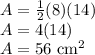 A=\frac{1}{2} (8)(14)\\A=4(14)\\A=56\text{ cm}^2
