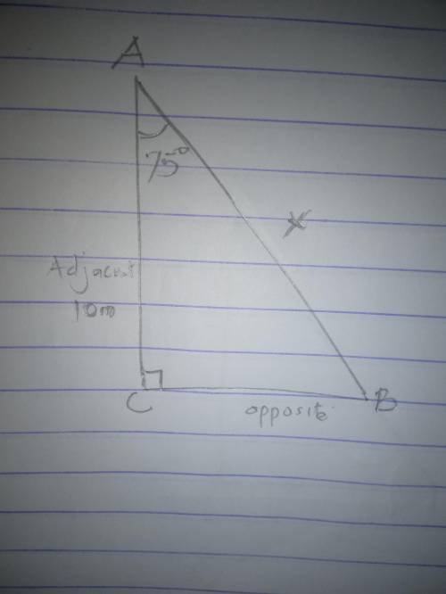 What is the length of Line segment A B? Round to the nearest tenth. Triangle A B C is shown. Angle A