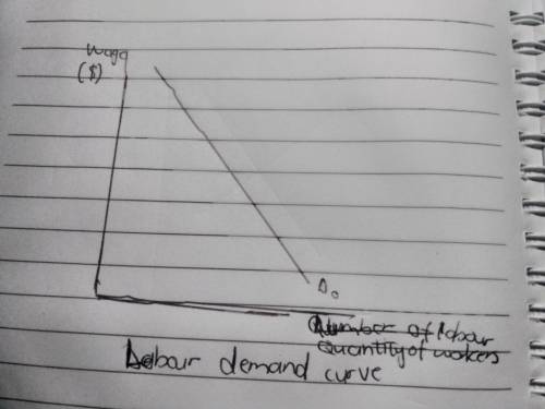 The labor demand curve shows how many workers the firm is willing to hire Group of answer choices at