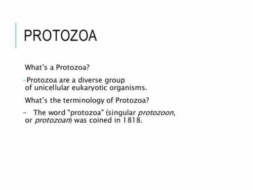 What does Protozoa mean?