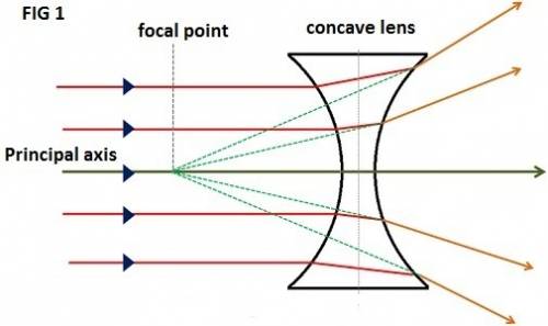 Incident ray x passes parallel to the principal axis of a concave lens. incident ray y passes parall