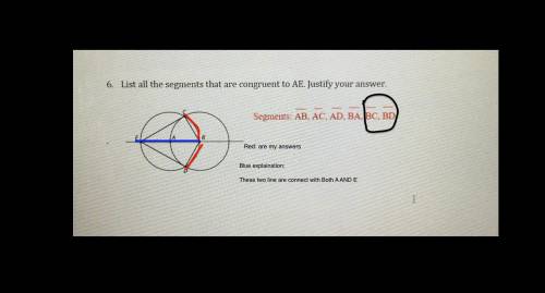 Please help me with this!! (20 points)