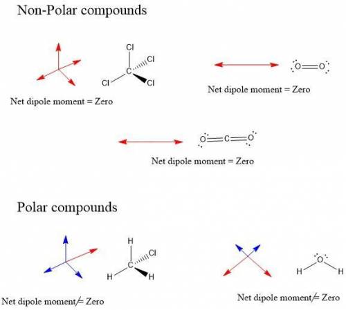 Given six molecules, identify the molecules with polar bonds and the molecules that are polar.CCl4,