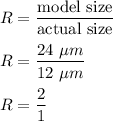 R=\dfrac{\text{model size}}{\text{actual size}}\\\\R=\dfrac{24\ \mu m}{12\ \mu m}\\\\R=\dfrac{2}{1}