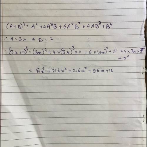 (3x+2)^4 
Can someone help me with this answer !