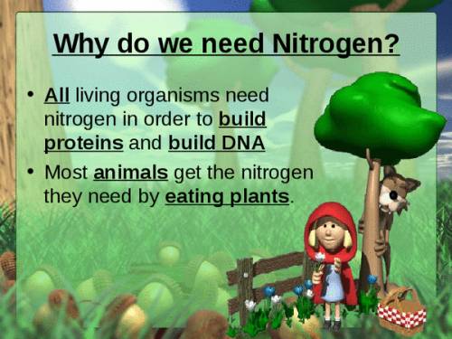 Why do organisms need nitrogen?