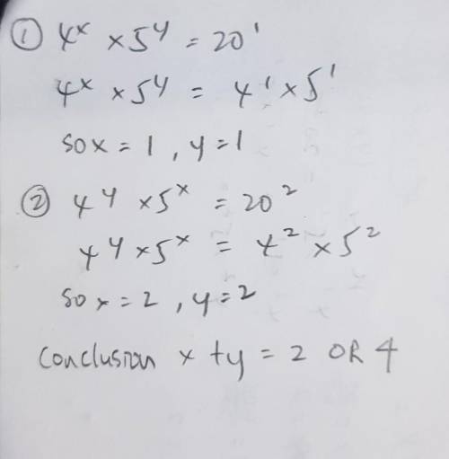 Please help!4^x*5^y=20, 4^y*5^x=20^2, x+y=?