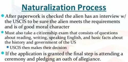 Create something to help someone understands that naturalization process