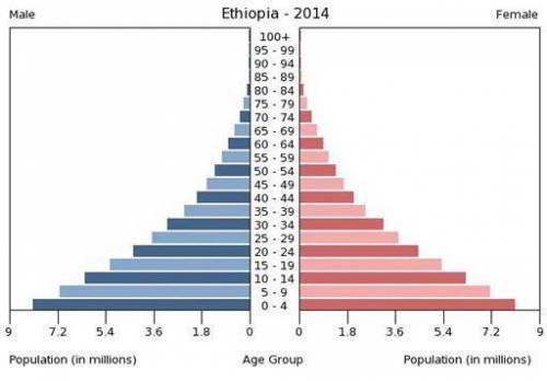What does an expansive population pyramid look like