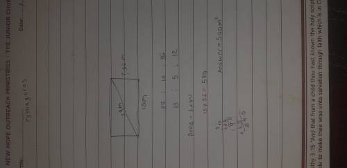 A rectangular plot has a diagonal of 39m and a width of 15m what is it's area