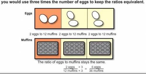 You need 2 eggs for a muffin recipe that makes 12 muffins.

If you want to make 36 muffins, what sho