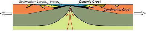 Which best describes how wedge basins form? When two plates move apart, the weaker part of Earth’s c