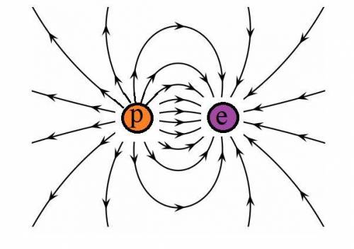 Draw the electric field lines between a proton and an electron. According to Coulomb's law, how woul