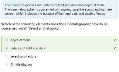 Which of the following elements does the cinematographer have to be concerned with? (Select all that