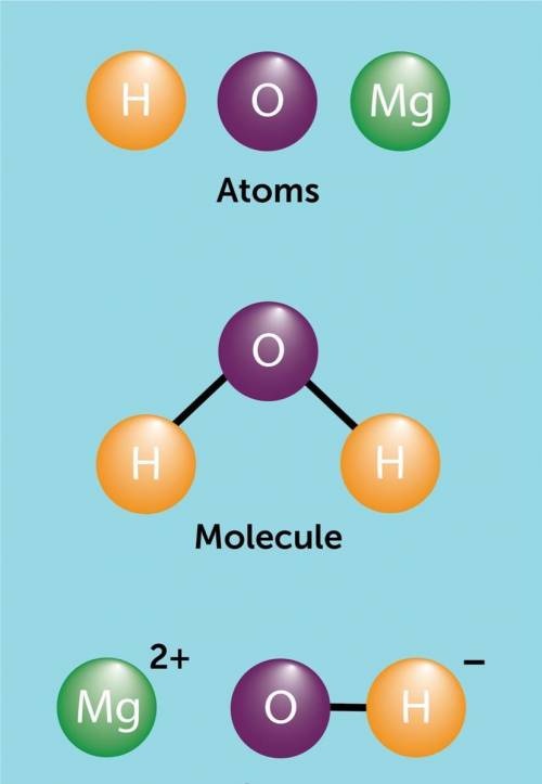 Compare and contrast: how are atoms and molecules the same? and how are they different