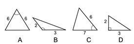 sandra calculated the missing side length of one of these triangles using the pythagorean theo