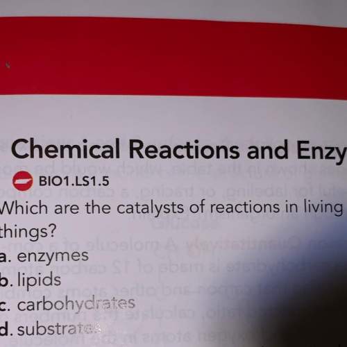 Which are the catalysts of reactions in living things?