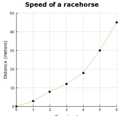 Based on the graph, during what time period is the race horse moving at the fastest speed?