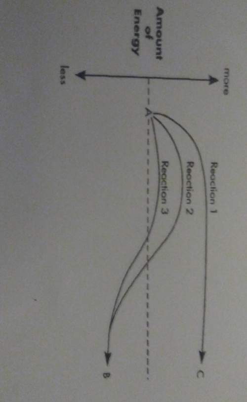 Describe what is happening in the graph and explain how the graph relates to enzymes.