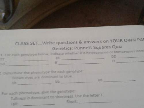 Punnett square quiz can someone plz me